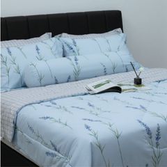 CT220032 - Bộ chăn ga gối Microfiber NIN Calisto CT220032