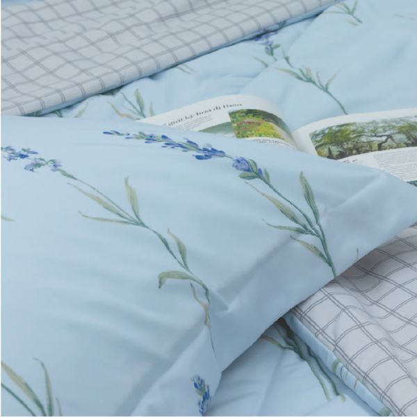 CT220032 - Bộ chăn ga gối Microfiber NIN Calisto CT220032