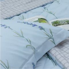 CT220032 - Bộ chăn ga gối Microfiber NIN Calisto CT220032