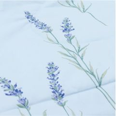CT220032 - Bộ chăn ga gối Microfiber NIN Calisto CT220032