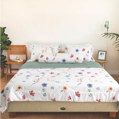 CT220033 - Bộ chăn ga gối Microfiber NIN Calisto