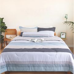 CT220035 - Bộ chăn ga gối Microfiber NIN Calisto