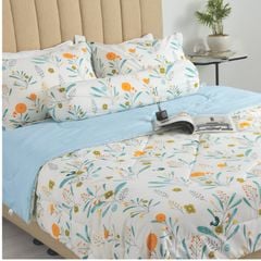 CT220036 - Bộ chăn ga gối Microfiber NIN Calisto