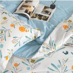 CT220036 - Bộ chăn ga gối Microfiber NIN Calisto