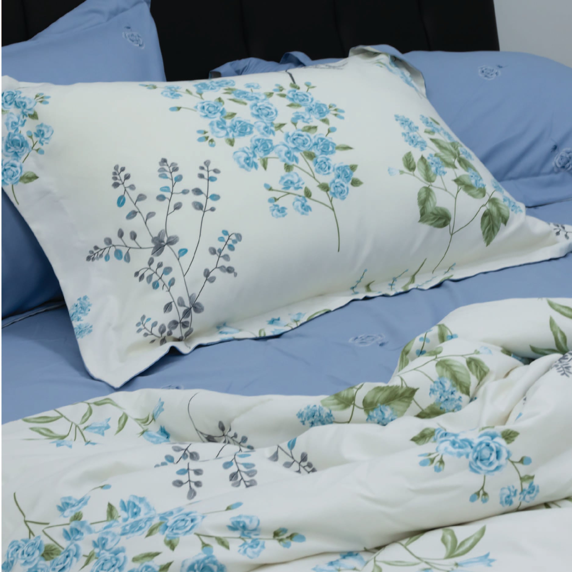 CT220037 - Bộ chăn ga gối Microfiber NIN Calisto