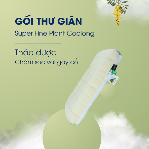 Gối thư giãn Super Fine Plant Coolong NIN House 48x74cm thảo dược, chăm sóc vai gáy cổ