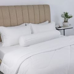 C190698 - Bộ chăn ga gối cotton nhung NIN CLASSIC C190698 màu trắng White
