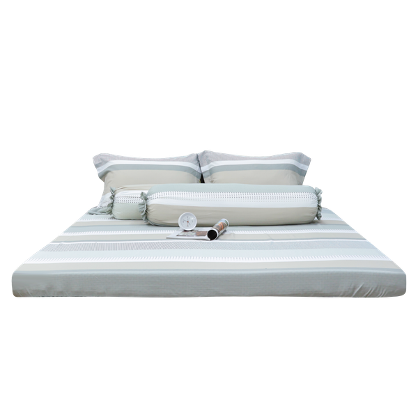 TC9022 - Bộ chăn ga gối Tencel NIN Selina TC9022