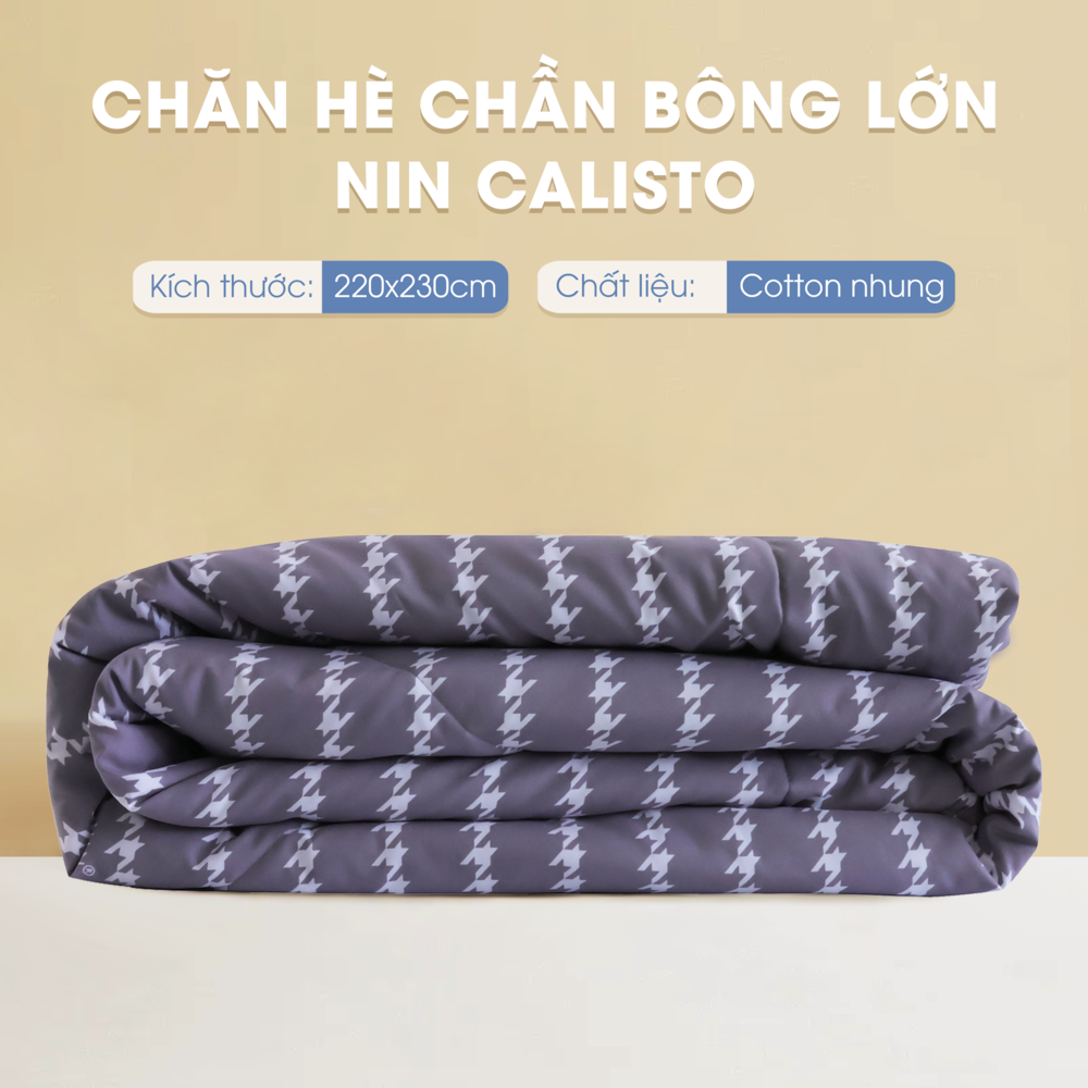 Chăn bông CT220031 - Mền cotton chần bông Calisto CT220031 mịn màng