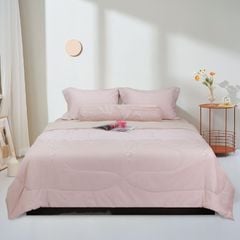 ST200048 - Bộ chăn ga gối cotton nhung STEFANI ST200048