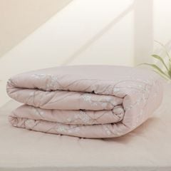 ST200048 - Bộ chăn ga gối cotton nhung STEFANI ST200048