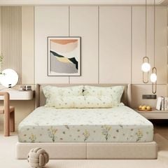 ST200050 - Bộ chăn ga gối cotton nhung STEFANI ST200050