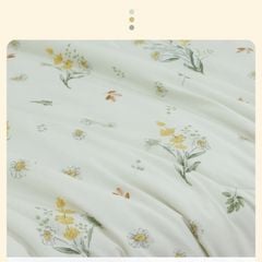 ST200050 - Bộ chăn ga gối cotton nhung STEFANI ST200050