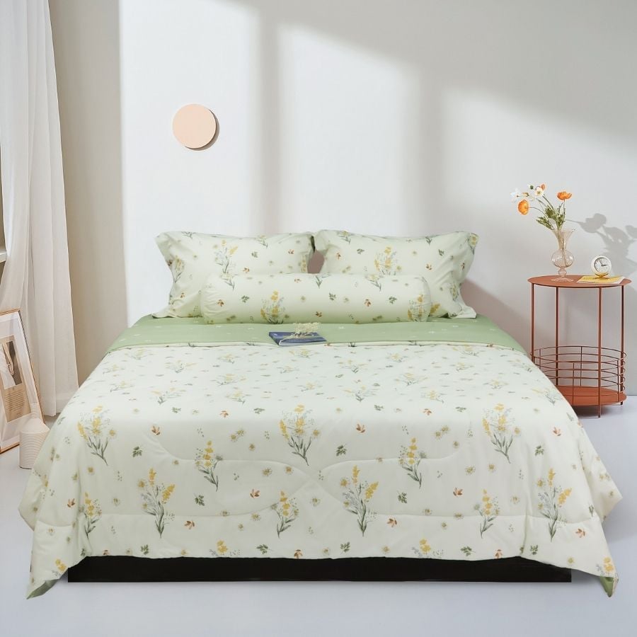 ST200050 - Bộ chăn ga gối cotton nhung STEFANI ST200050