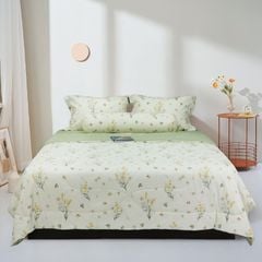 ST200050 - Bộ chăn ga gối cotton nhung STEFANI ST200050