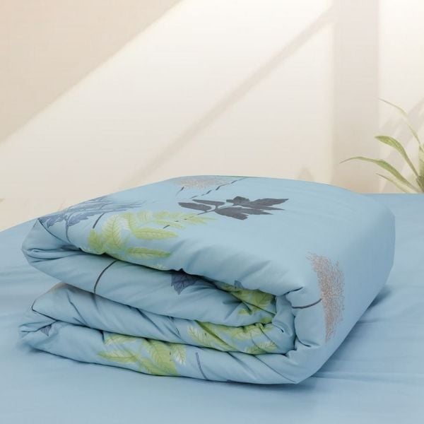 ST200051 - Bộ chăn ga gối cotton nhung STEFANI ST200051
