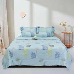 ST200051 - Bộ chăn ga gối cotton nhung STEFANI ST200051