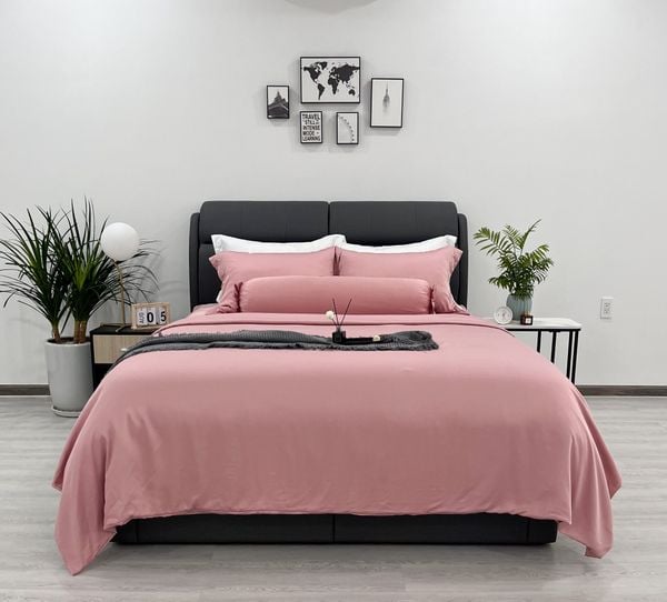 Bộ chăn ga gối lụa Tencel 80S Freemonde MD.Decor - Bedding nguyên hộp nhập  khẩu cao cấp sang trọng