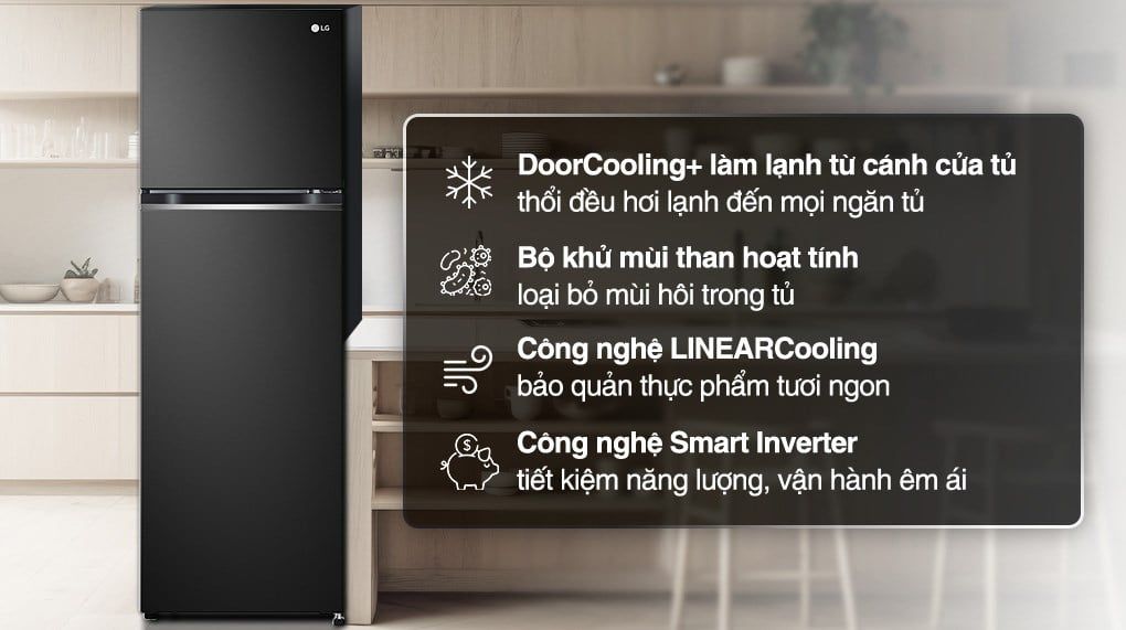 Tủ lạnh LG Inverter 266L GV-B262BL