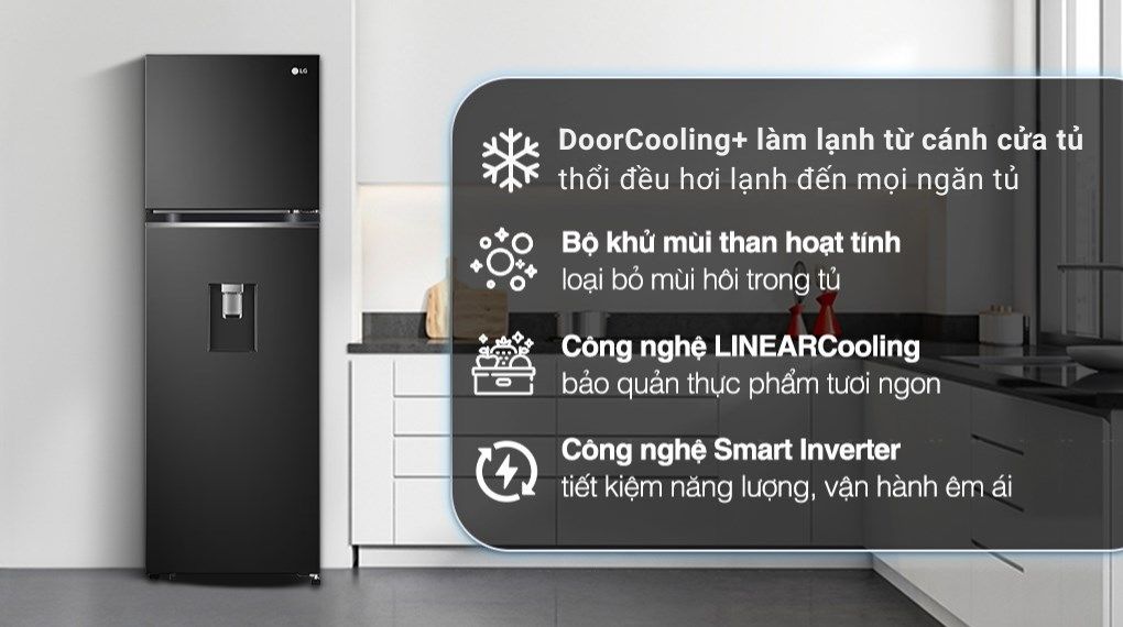Tủ lạnh LG Inverter 264 Lít GV-D262BL