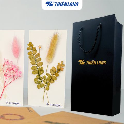 Bộ quà tặng thiệp DIY Thiên Long - Mẫu thiệp ngẫu nhiên