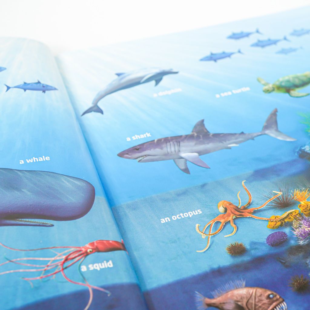 Explore Our World 3: Student's Book with Online Practice