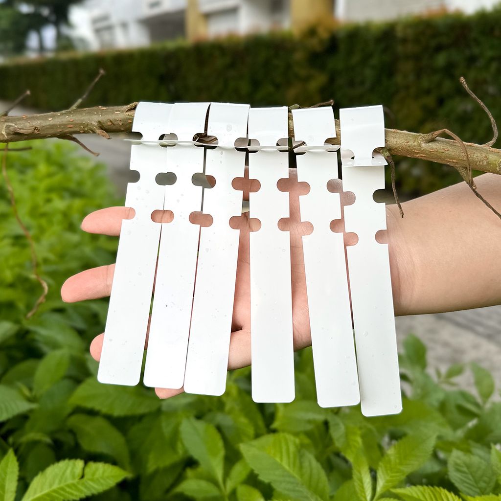 Combo 50 Thẻ nhựa ghi tên cây dạng rút - Vườn xanh Thiên Long Tag-001