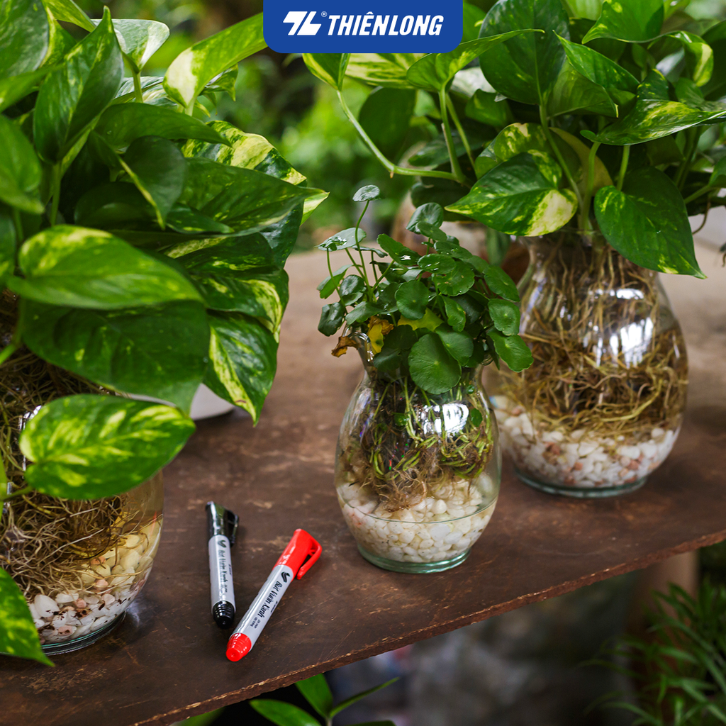 Túi 2 Bút vườn xanh Thiên Long PM-022 - Khô nhanh, bền màu với thời tiết