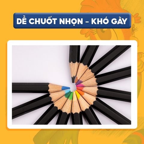 Bút chì 12 màu Colokit CPC-C06