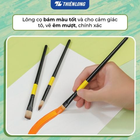 Bộ 5 Cọ vẽ màu nước đầu Round/ Flat/ Filbert Thiên Long Colokit