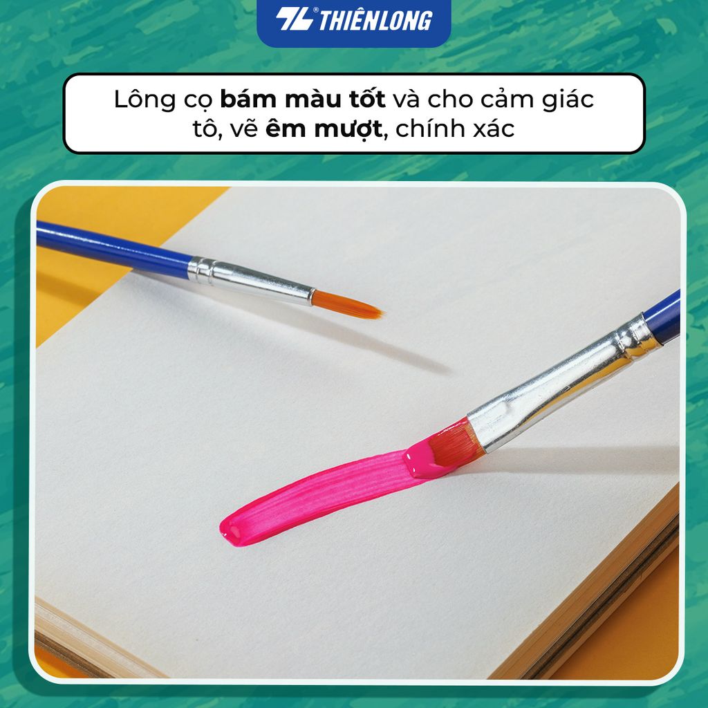 Túi 2 Cọ vẽ Phẳng và Tròn Thiên Long Colokit BRW-C01