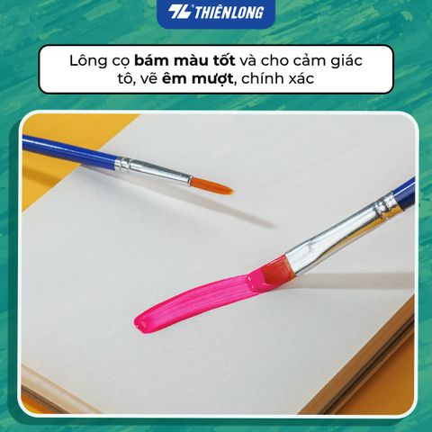 Túi 2 Cọ vẽ Phẳng và Tròn Thiên Long Colokit BRW-C01