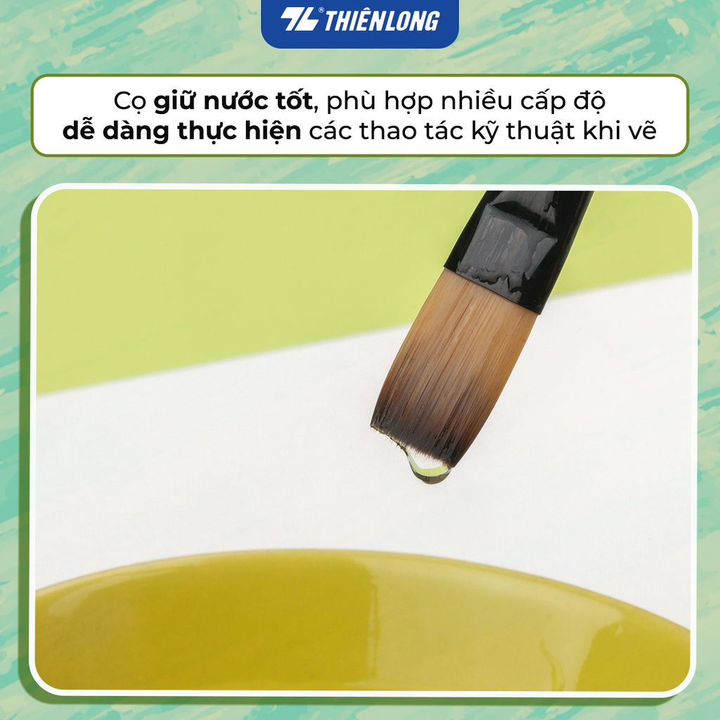 Bộ 5 Cọ vẽ màu nước đầu Round/ Flat/ Filbert Thiên Long Colokit