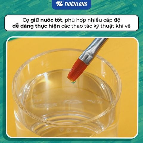 Túi 2 Cọ vẽ Phẳng và Tròn Thiên Long Colokit BRW-C01