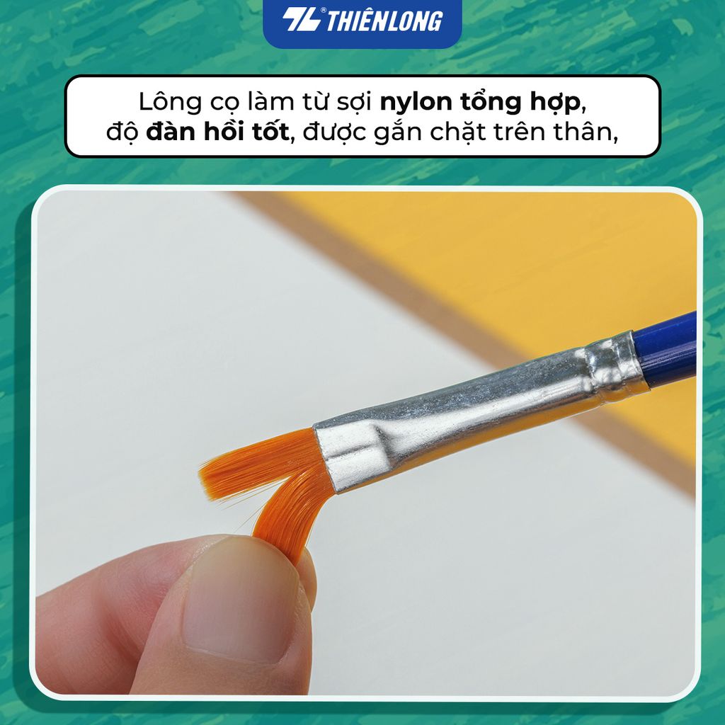 Túi 2 Cọ vẽ Phẳng và Tròn Thiên Long Colokit BRW-C01