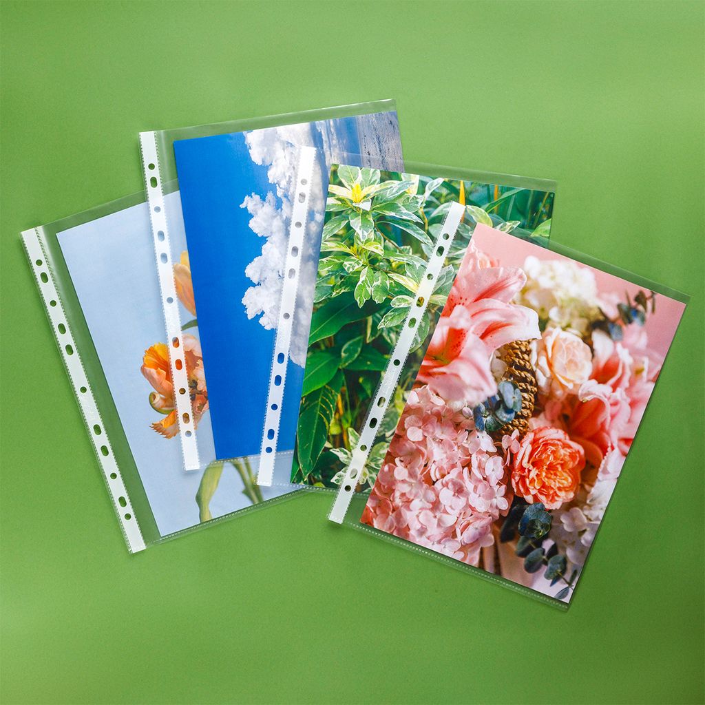 Bìa lỗ không viền A4 Flexoffice FO-CS02