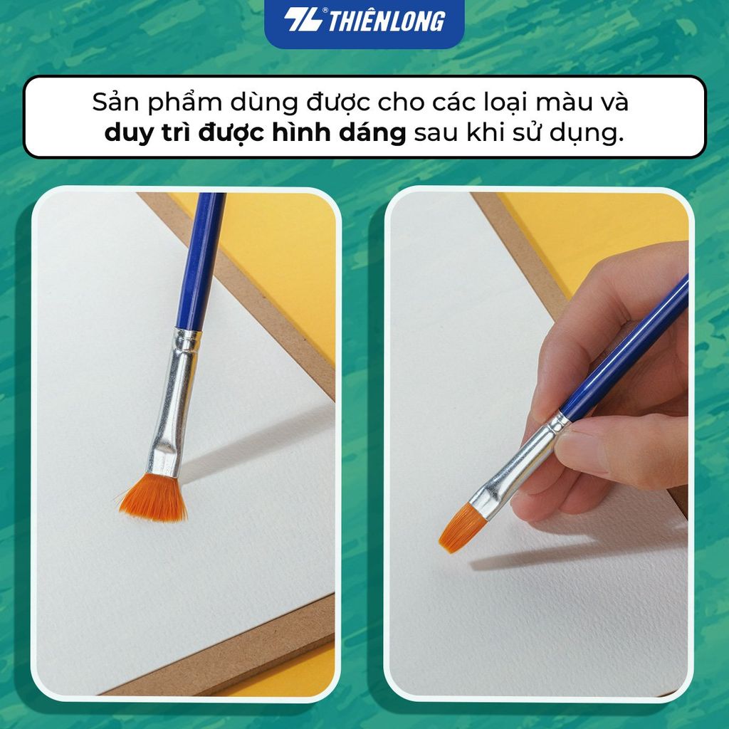 Túi 2 Cọ vẽ Phẳng và Tròn Thiên Long Colokit BRW-C01