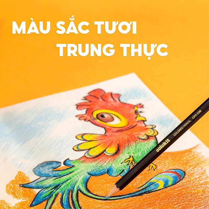 Bút chì 12 màu Colokit CPC-C06