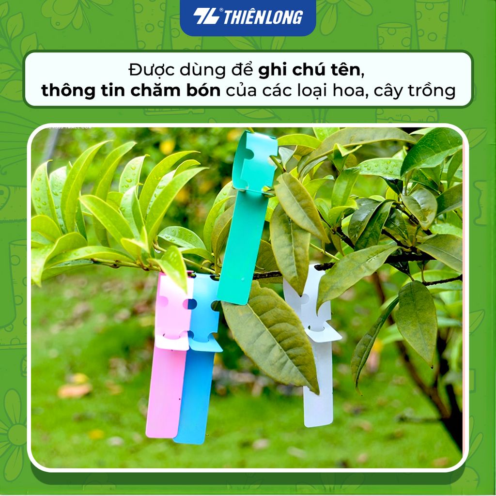 Combo 50 Thẻ nhựa ghi tên cây dạng rút - Vườn xanh Thiên Long Tag-001