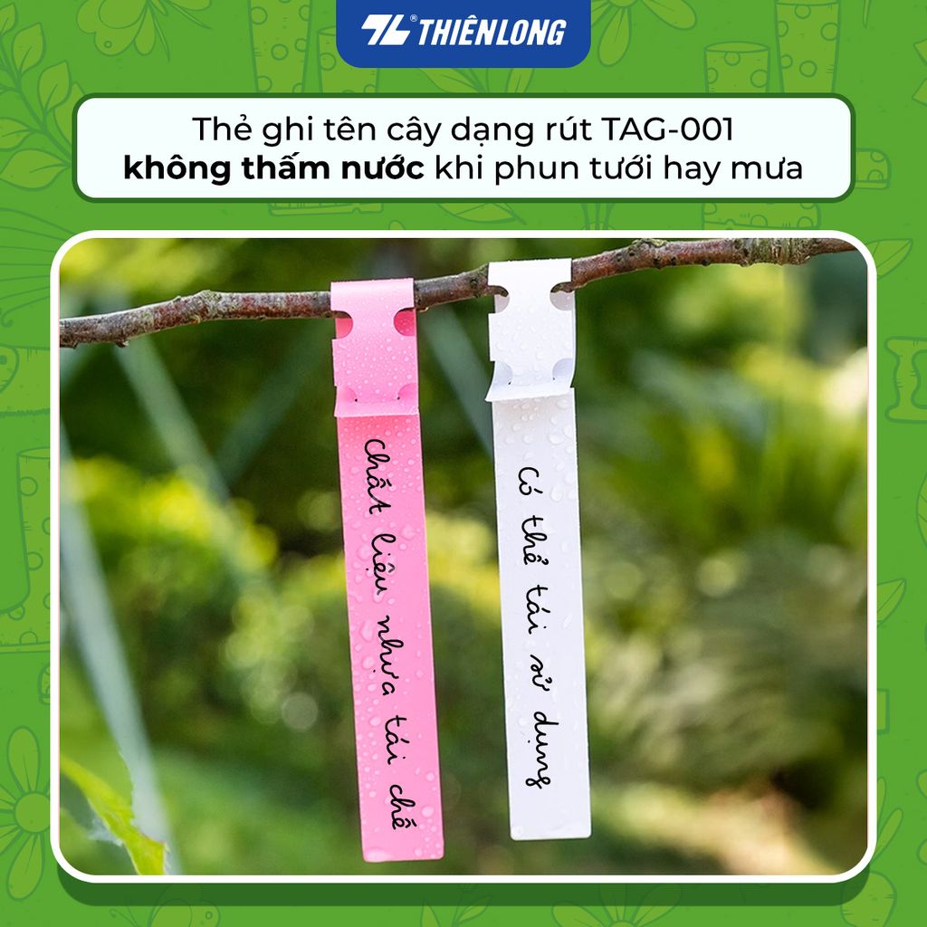 Combo 50 Thẻ nhựa ghi tên cây dạng rút - Vườn xanh Thiên Long Tag-001