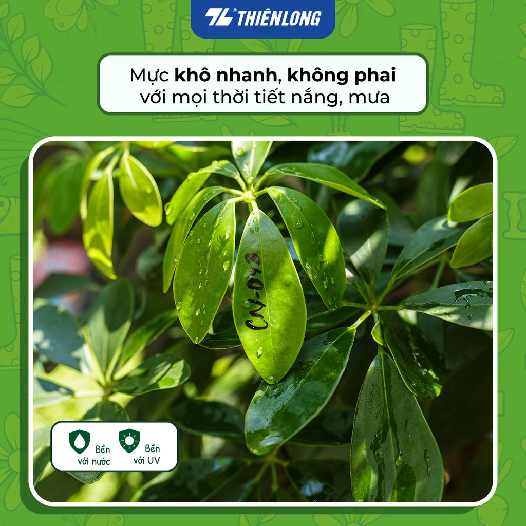 Túi 2 Bút vườn xanh Thiên Long PM-022 - Khô nhanh, bền màu với thời tiết