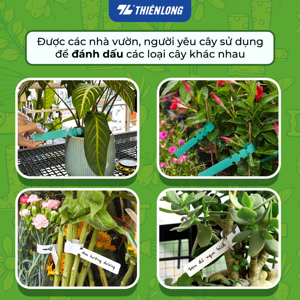 Combo 50 Thẻ nhựa ghi tên cây dạng rút - Vườn xanh Thiên Long Tag-001