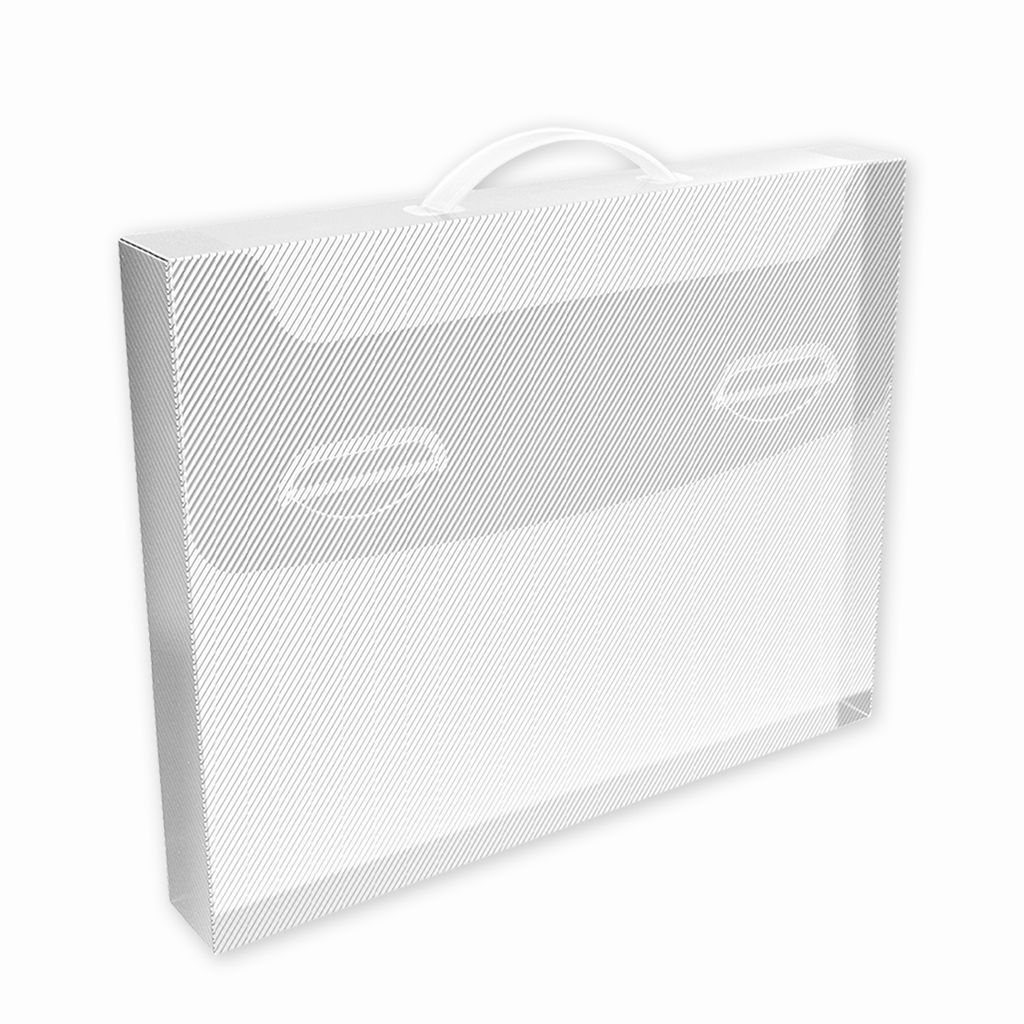 Hộp đựng tài liệu -  Hộp đựng hồ sơ - Cặp tiện lợi A4 Thiên Long PP A4 TP-DF002 - Trắng trong suốt không hoa văn