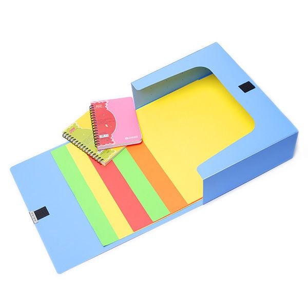 Bìa hộp Flexoffice PP 100A4 FO-BF03