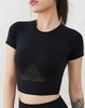 Áo Thun Croptop Trơn Thể Thao 5784