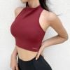 Áo Croptop Cổ Yếm Dây Chéo Lưng 6499 (4 Màu)