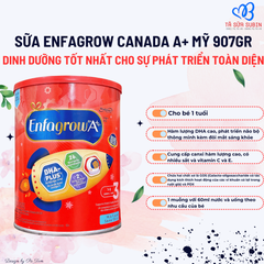 Sữa Enfagrow A+ Canada 907gr Vị Sữa (1-5 tuổi)