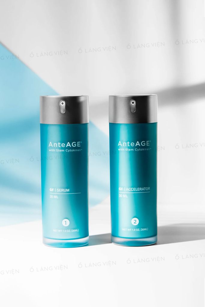 Pro System Accelerator (2)