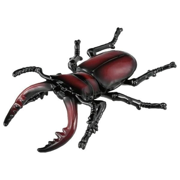  Ania AS-43 Sawtooth Stag Beetle - Bọ Cánh Cứng Răng Cưa 