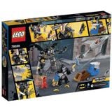  KHỈ ĐỘT VÀ CHUỐI 